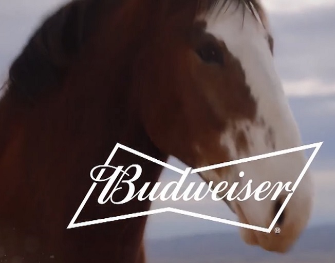 Watch as Budweiser Take Us On An Emotional Roller Coaster With New Super Bowl Commercial