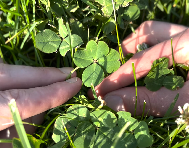 Three Tricks to Make Yourself Luckier