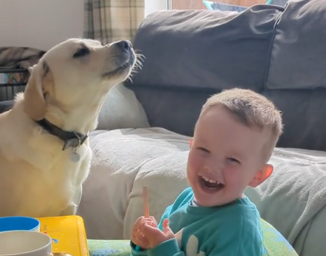 Viral Video: Boy and His Dog Talk Back and Forth