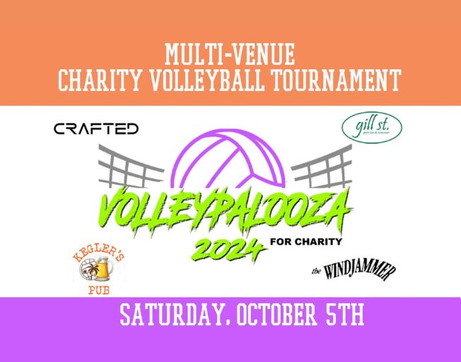 Volleypalooza 2024: Sand Volleyball Tournament for Charity