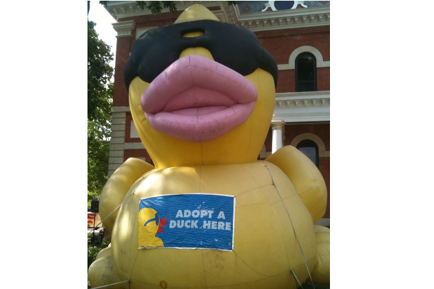 Adopt your ducks for upcoming Mighty Vermilion Duck Race