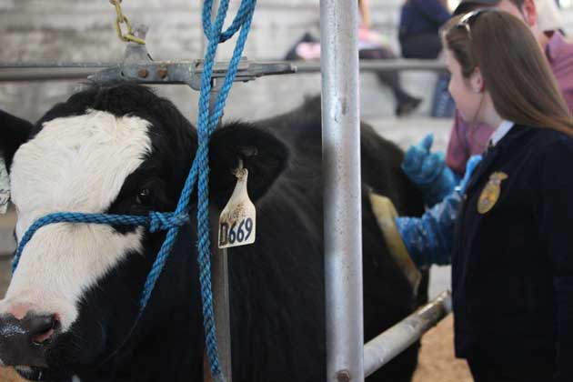 Illinois makes the push for more women in agriculture