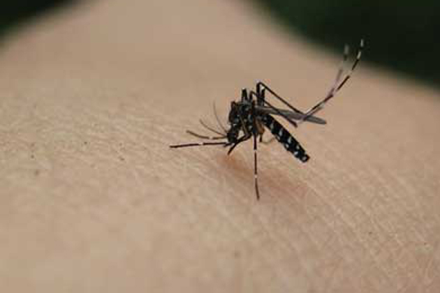 West Nile cases down in Illinois