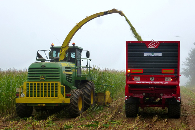 crop production