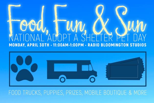 National Adopt a Shelter Pet Day: Food, Fun, and Sun