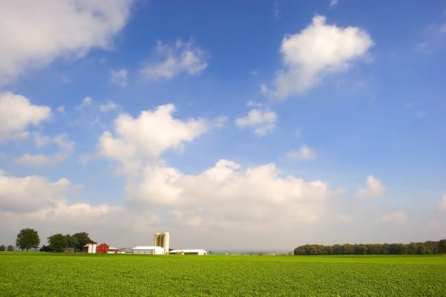 This week’s USDA crop report is a wet one