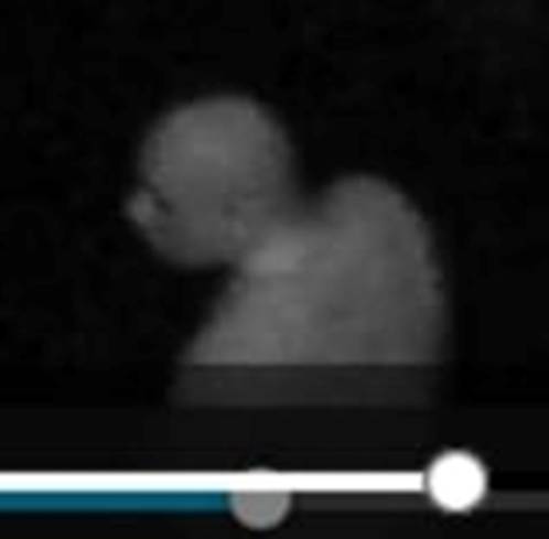 Police continue to investigate burglary spree in Kenney