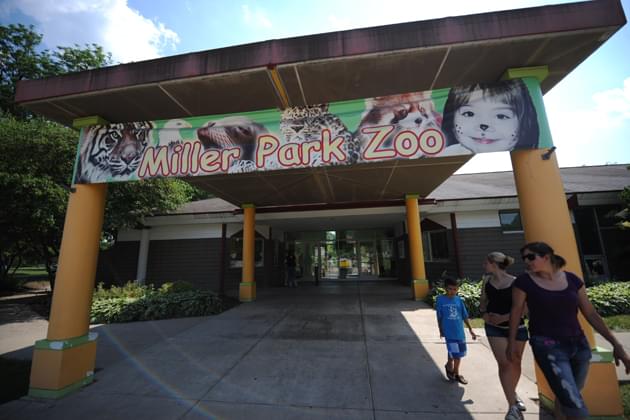 Miller Park Zoo carousel under repair this summer