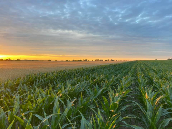 Numbers confirm what Illinois farmers can tell you – it’s wet!