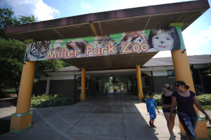 Miller Park Zoo is around two weeks away from opening a new monkey exhibit