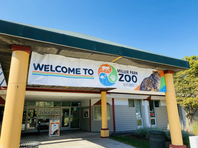 Miller Park Zoo reopens Katthoefer Animal Building, four big cats have recovered from COVID-19