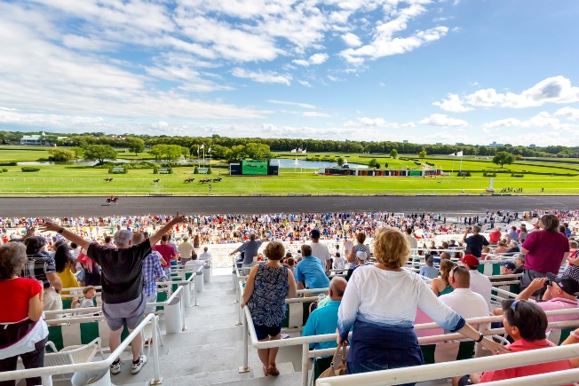 Former Arlington International Racecourse president thinks facility could house the Bears and horse racing