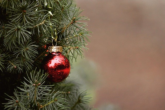 U of I Extension with some tips for picking out your Christmas tree