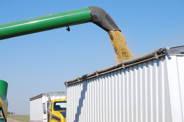 Fertilizer prices hit record levels amid the war in Ukraine