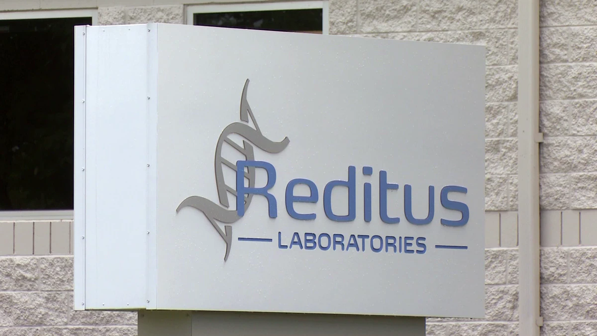 Reditus Labs to be placed in receivership