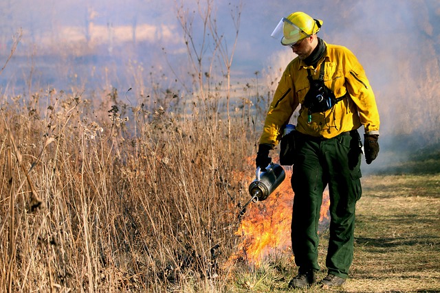 Normal conducted prescribed burns on Monday