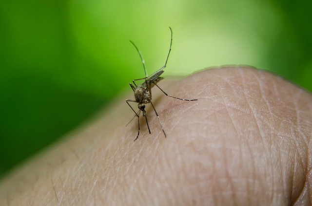 McLean and Tazewell Counties dealing with positive West Nile Virus tests