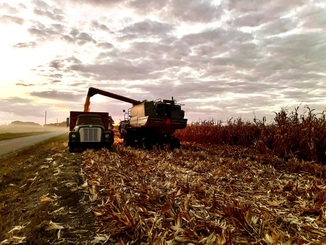 Illinois corn and soybean harvests past the halfway mark