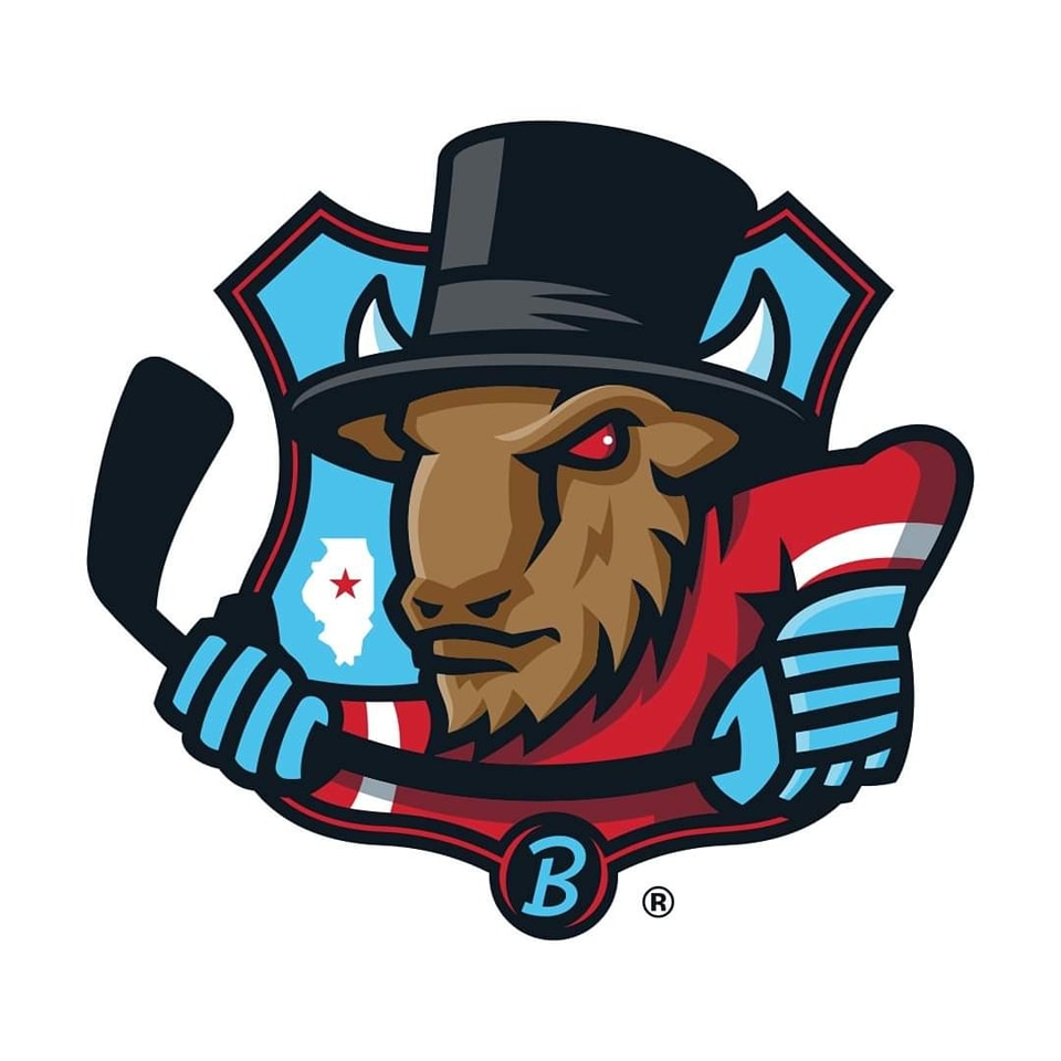 Bloomington Bison: Hockey back in Bloomington