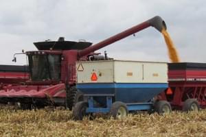 McLean County corn and soybean production top in state in 2023