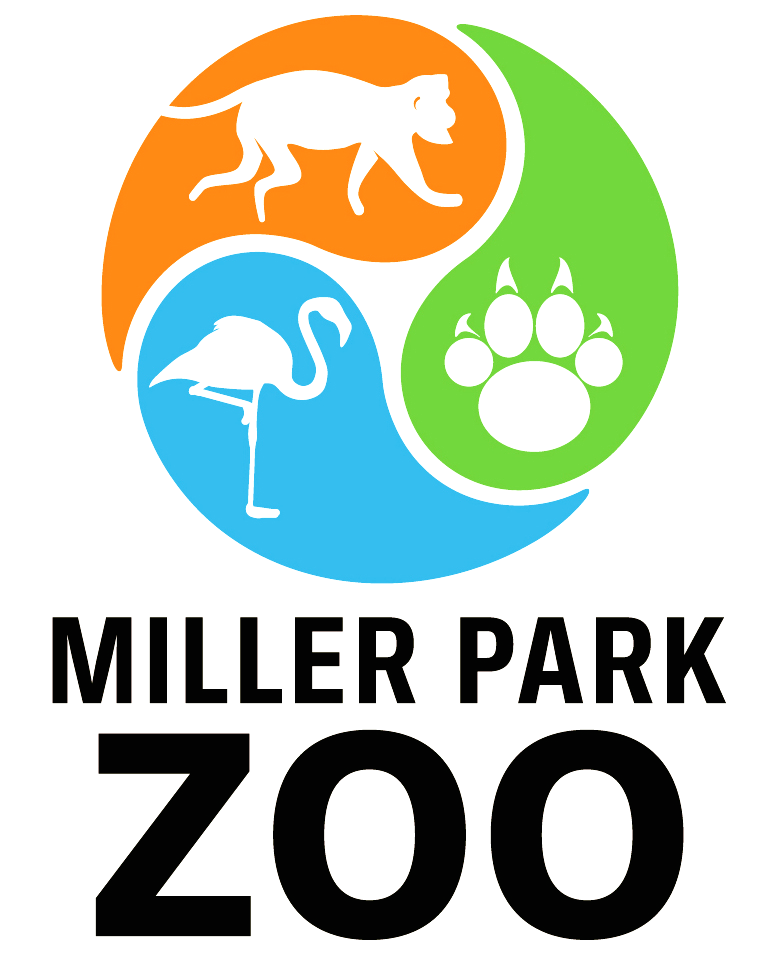Miller Park holds a 5K run to raise funds to repair the zoo carousel