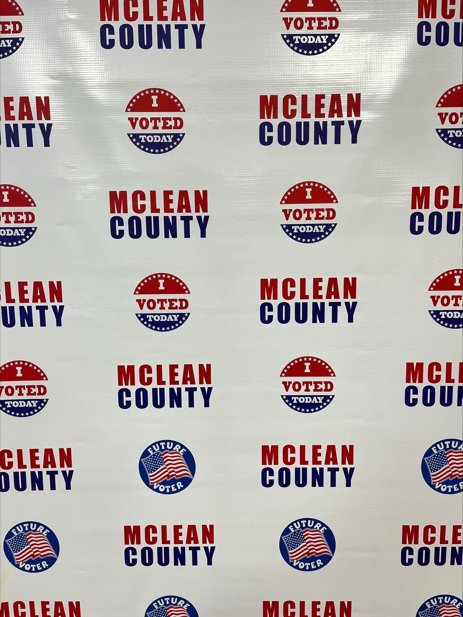 Primary elections wrap up; results in McLean County