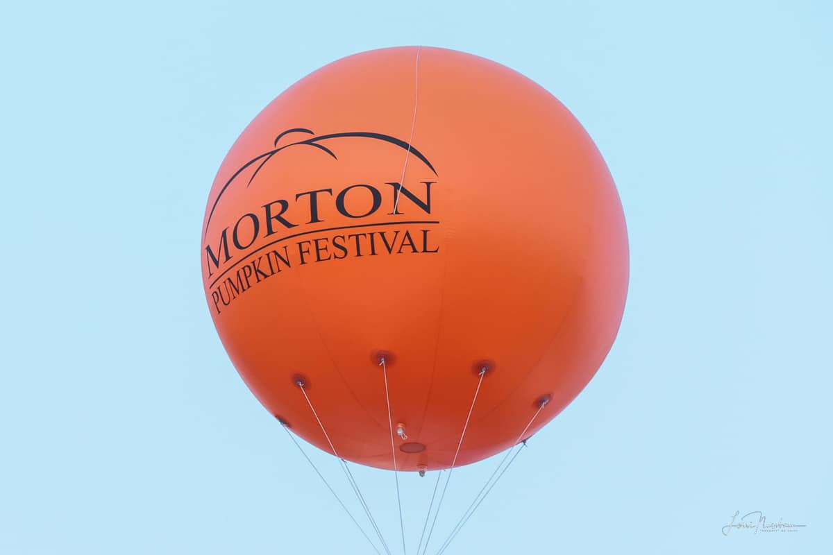 Boy injured after falling off ride at Morton Pumpkin Festival