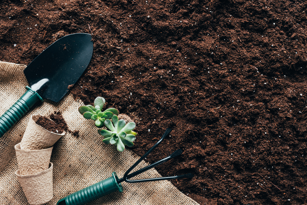 Lowe’s Is Offering Free Garden Kits In April