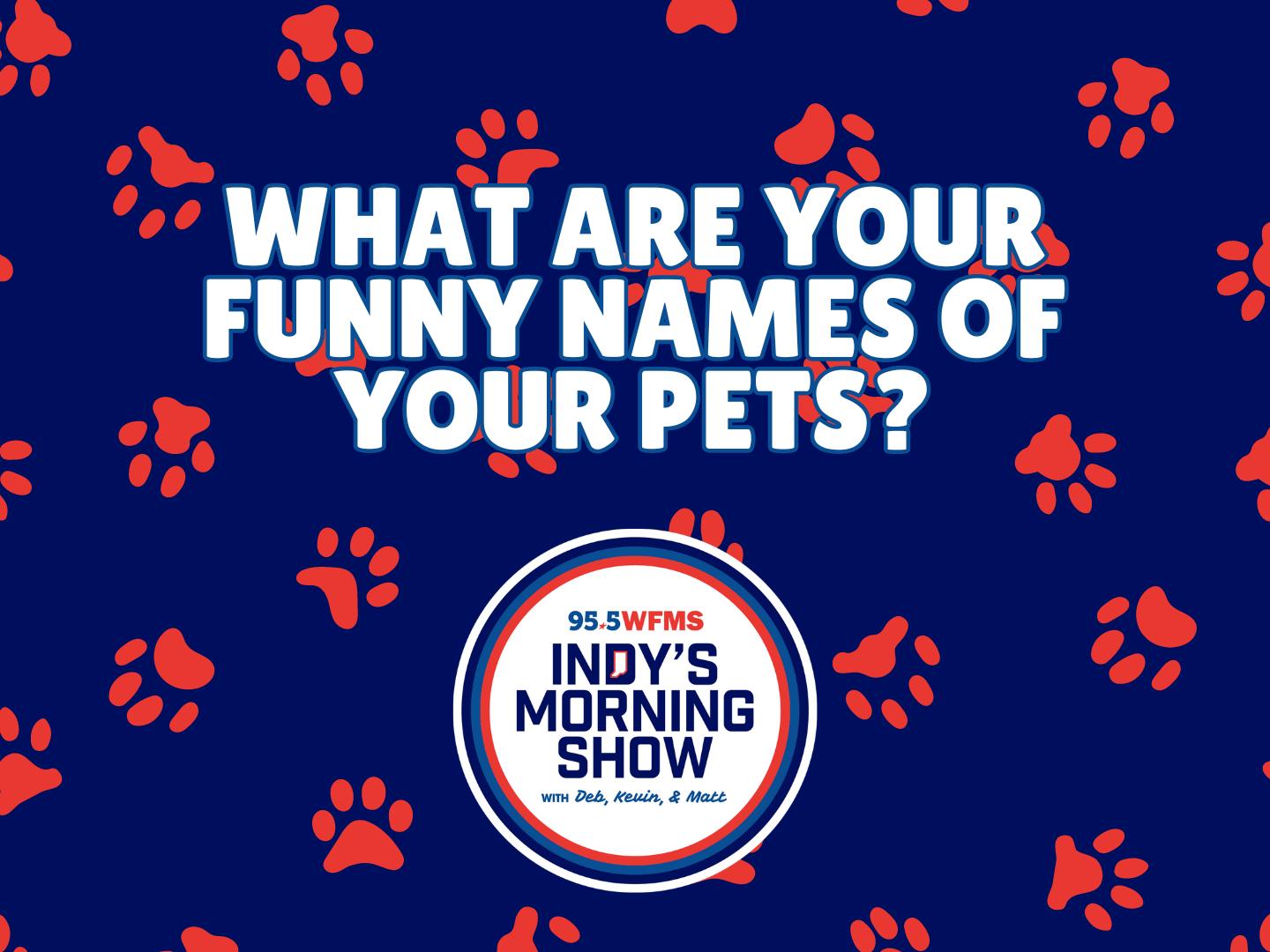 Does Your Pet Have A Funny Name?