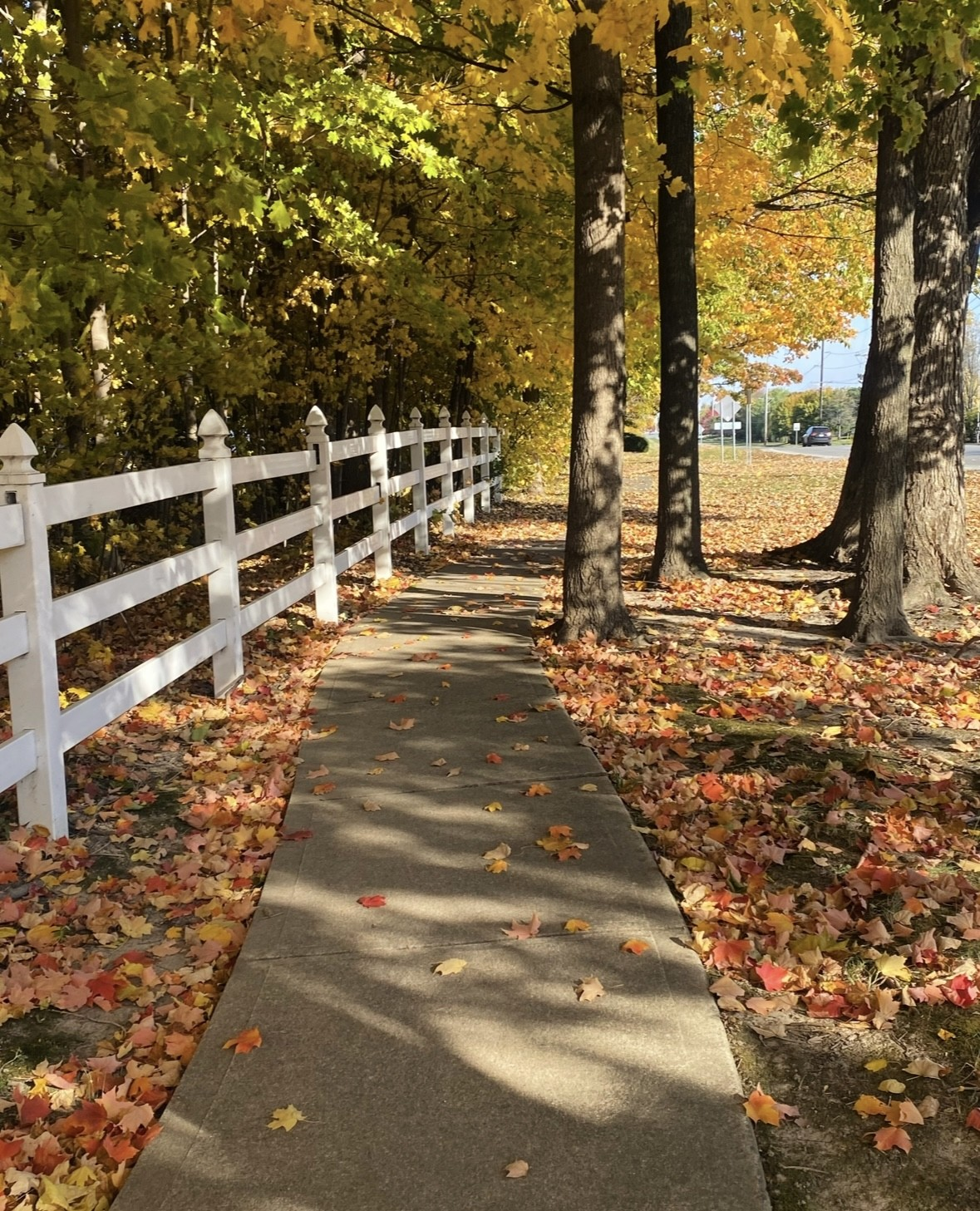 It’s Fall, Ya’ll: Picture-Perfect Photos!