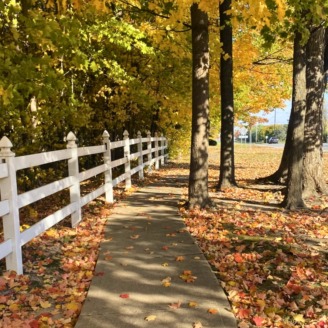 It’s Fall, Ya’ll: Picture-Perfect Photos!