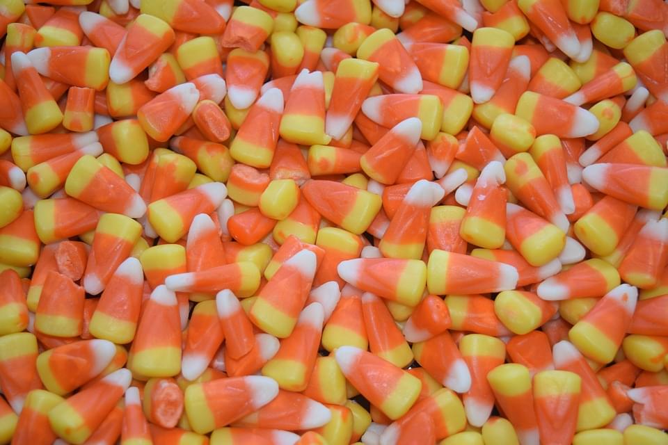 Trick or Treat! Candy Corn Beer! Would You Try It?