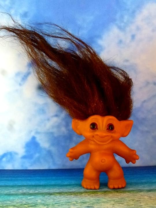 Remember Trolls? Well, That’s The New Hairstyle Craze! Troll Doll Hair!