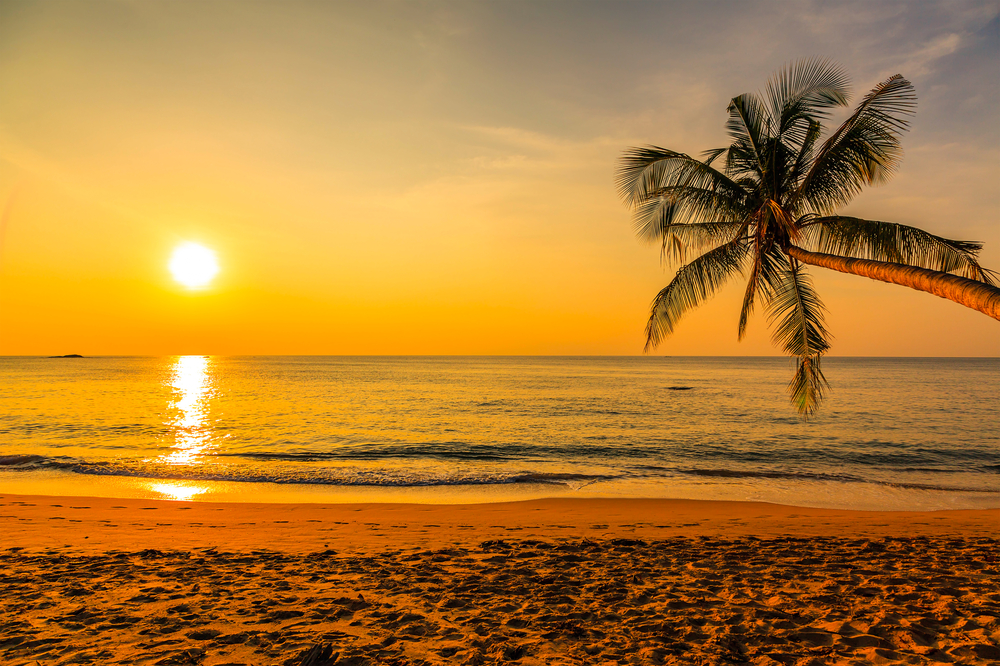 Fellas! Forget The Gym!  Here’s All You Need For A Buff Beach Bod This Summer!