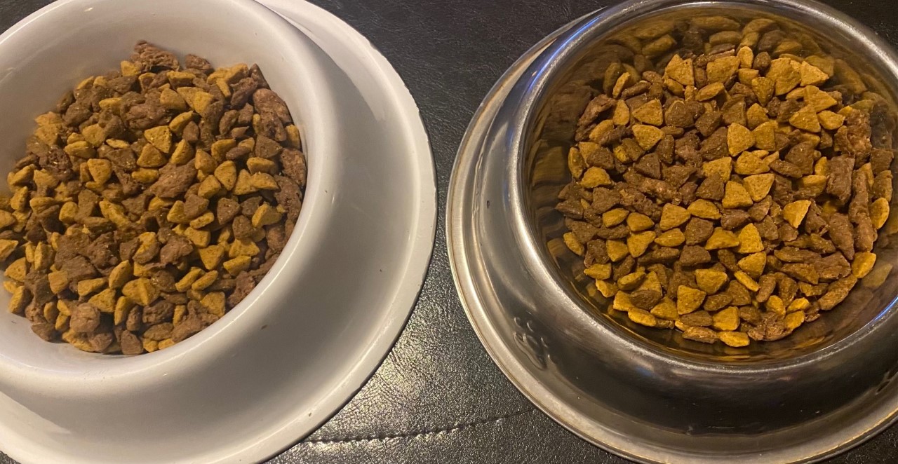 A Vegan Dog Food Company Will Pay Someone $6,000 To Eat Just Their Dog Food For A Week!
