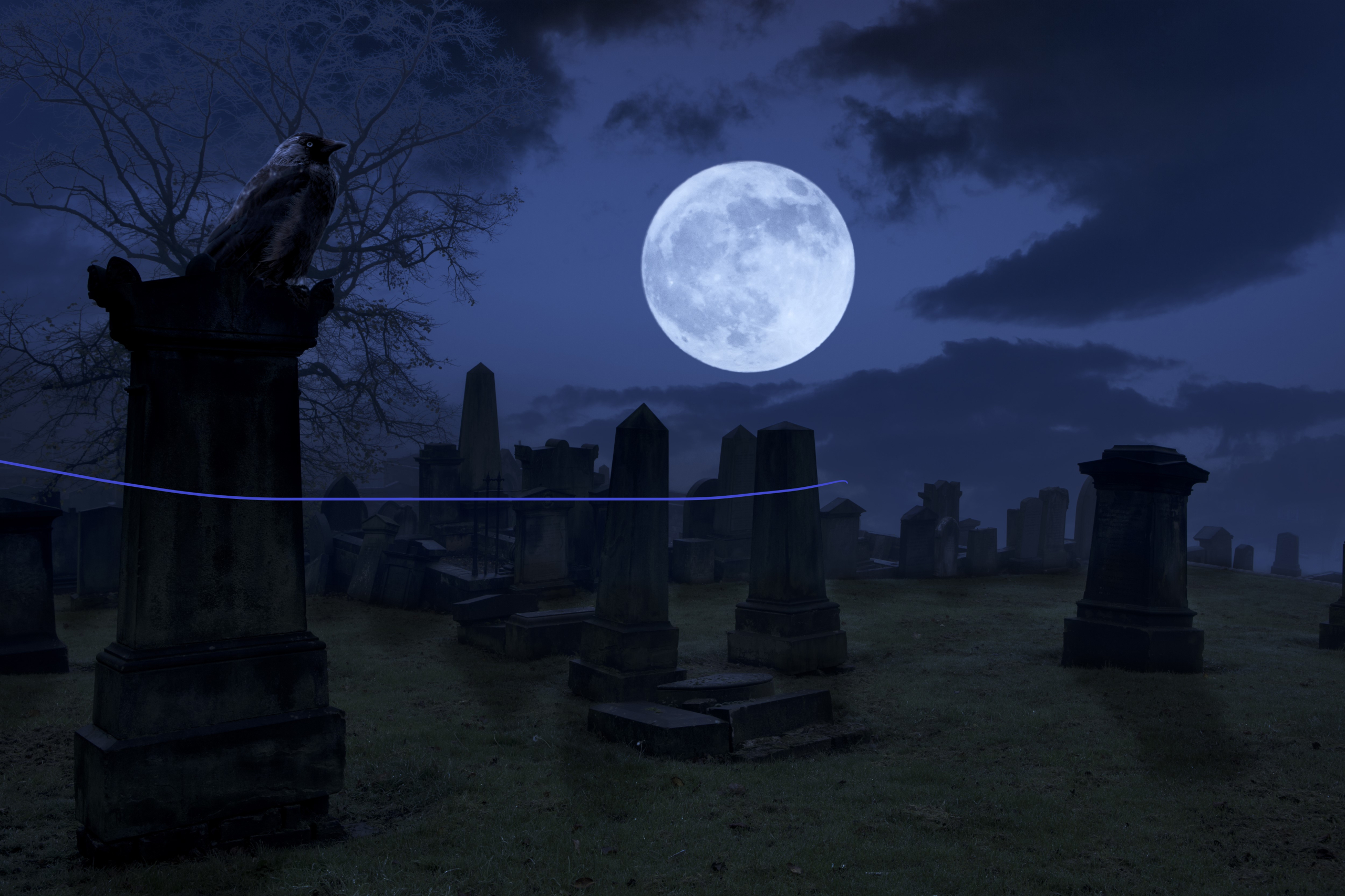 The 25 Best “Haunted House” Movies Of All Time