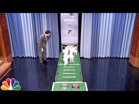 WATCH: The Winner Of The “Big Game” Chosen By … Puppies!