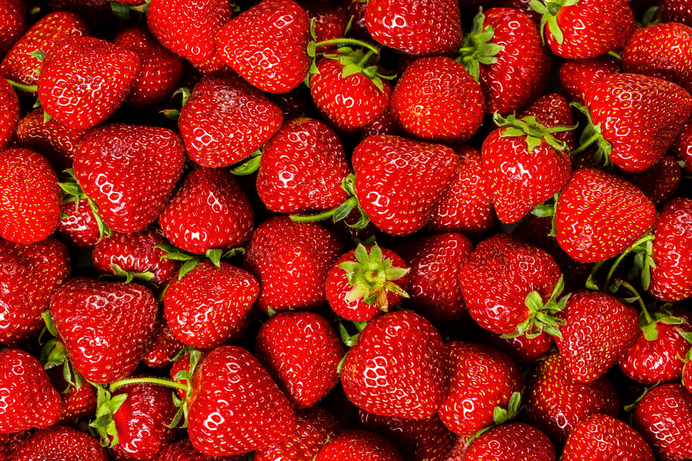 The Strawberry Festival Returns To The Circle In June