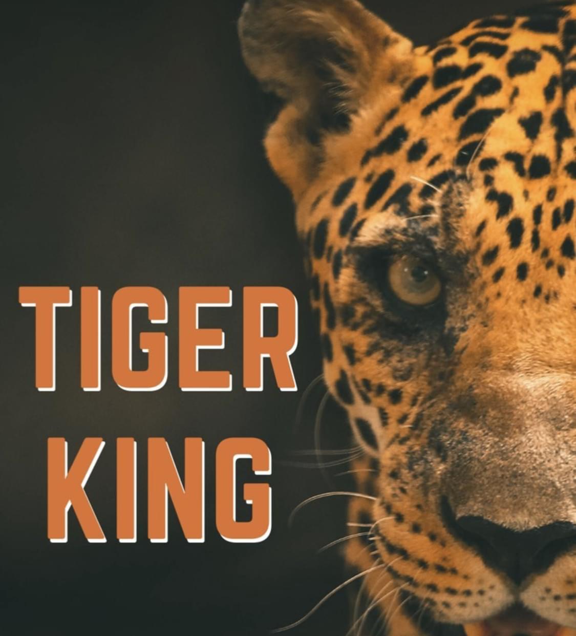 New Tiger King