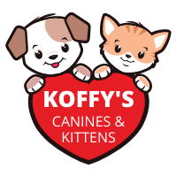 Koffy’s Canines & Kittens