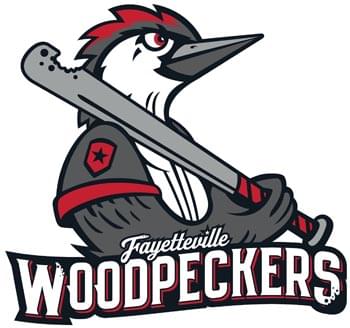 FAYETTEVILLE WOODPECKERS WILL NOT HEAD TO THE MOUND IN 2020