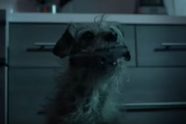 ‘Dog Wick’ is What Happens When You Reverse the Roles in ‘John Wick’ [VIDEO]