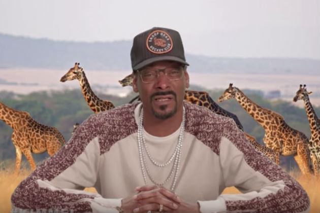 Snoop Dogg Narrates Battle Between Iguanas and Snakes [VIDEO]