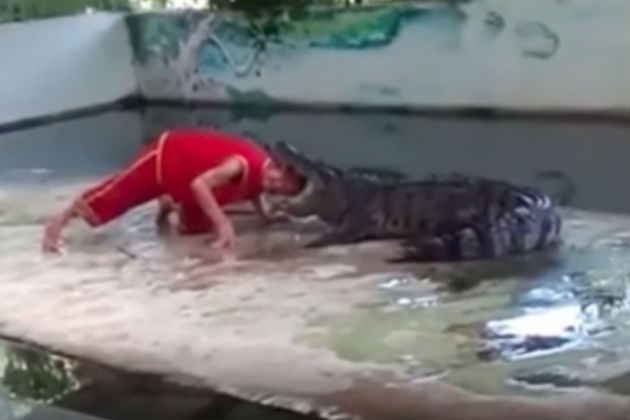 Watch This Crocodile Bite Down On a Guy’s Head [VIDEO]