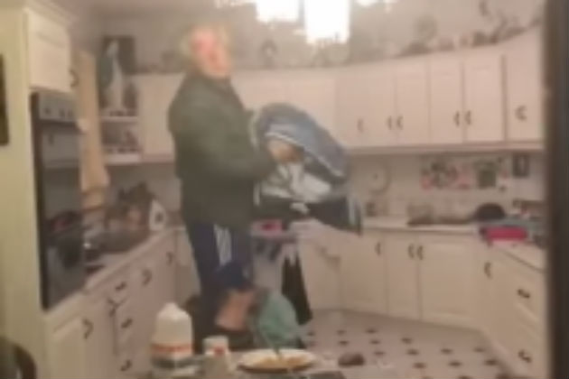 This Irish Family Had a Helluva Time Catching a Bat That Flew Into Their House [VIDEO]