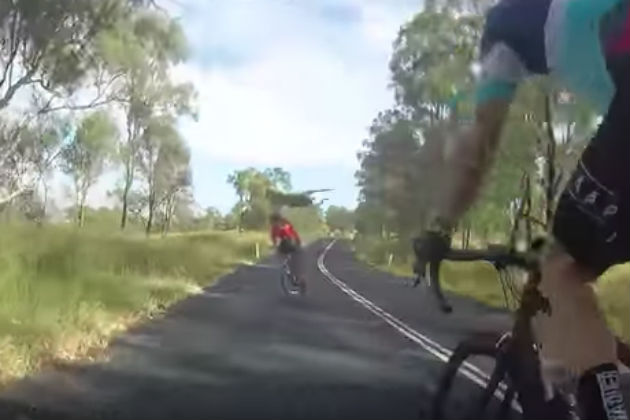 Watch This Cyclist Get Absolutely Destroyed By a Kangaroo [VIDEO]