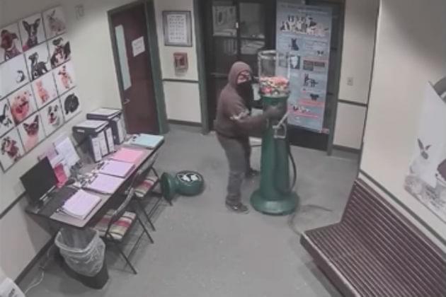 Watch This Guy Break Into an Animal Shelter to Steal a Gumball Machine [VIDEO]