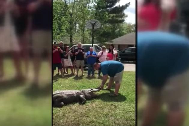 This Couple Used an Alligator to Reveal the Gender of Their Child [VIDEO]