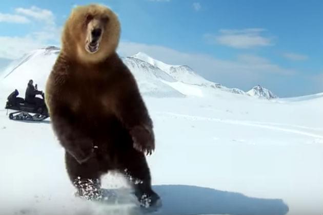 Watch This Snowmobiler Nearly Get Swatted By a Giant Bear [VIDEO]