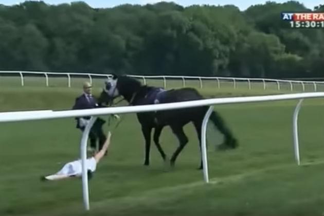 Watch This TV Reporter Catch a Runaway Horse By Standing In Front of It [VIDEO]